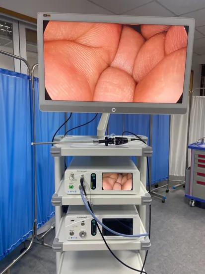 4K Endoscopy Camera System with E42A Light Source with 7 Inch Control 
