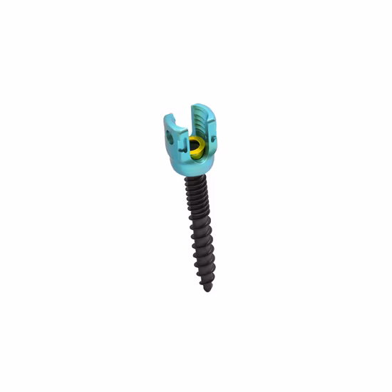 Titanium Gather Sterilized, PE Bag, Carton Package 6.0 System Spinal Screws