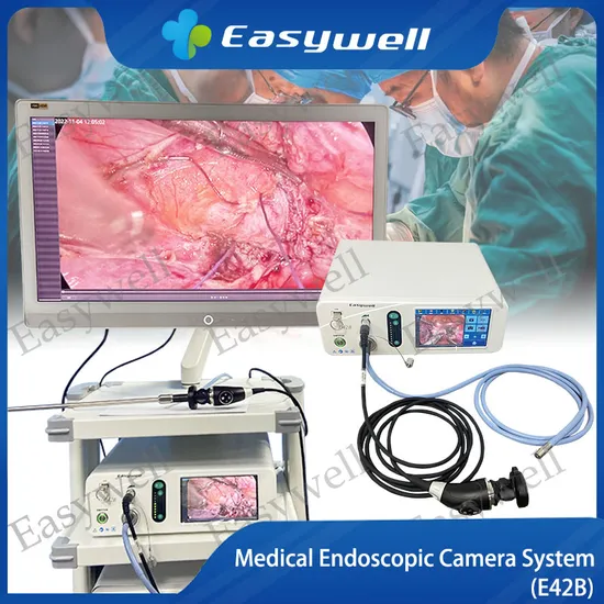 4K LED Light Source E42b Image System with Light Source for Endoscope 