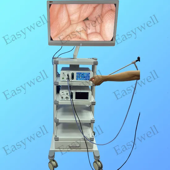 4K Imaging System 2 in 1 E42A with Light Source for Endoscope 